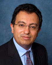 Ansari Lari Mohammad A