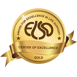 Elso Collage of Excellence