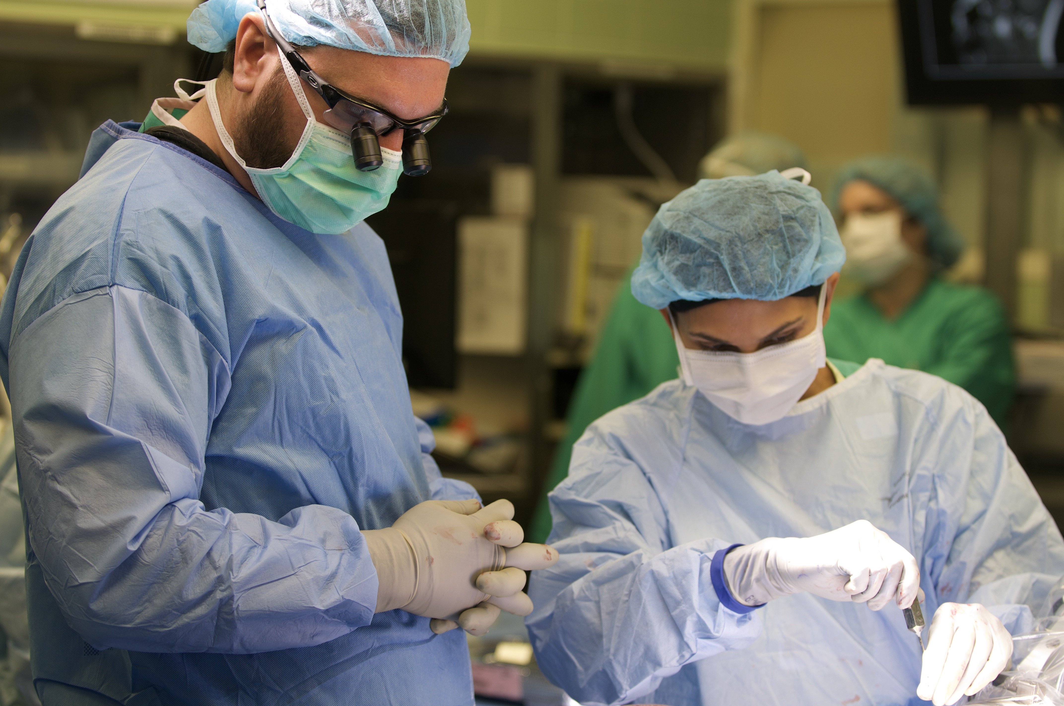 doctor looking at image of brain