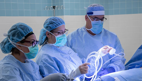 The transplant team in the operating room