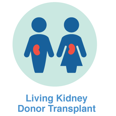 living kidney donor icon